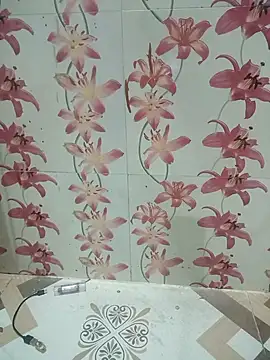 Snapshot of Meenaksi-singh chatting on 10/01/25, 07:42 Meenaksi-singh online show from 10/01/25, 07:42