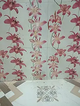 Snapshot of Meenaksi-singh chatting on 10/12/25, 03:00 Meenaksi-singh online show from 10/12/25, 03:00