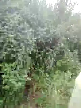 phlin1 online show from 07/23/26, 03:04