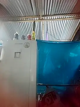 Snapshot of Lily-o chatting on 11/22/25, 10:42 Lily-o online show from 11/22/25, 10:42