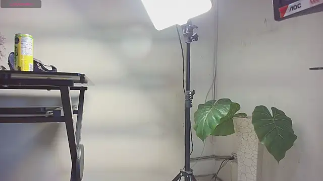 sakuramoss online show from 10/24/25, 06:43