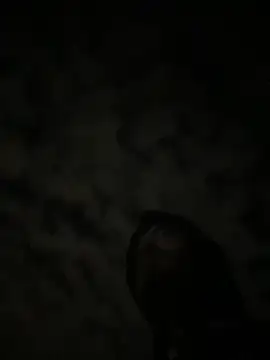 Snapshot of theone3121 chatting on 10/15/25, 11:43 theone3121 online show from 10/15/25, 11:43