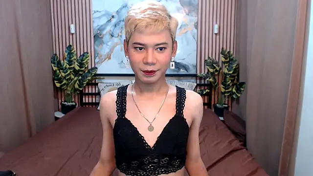 MissTransStella69 online show from 08/05/26, 05:54