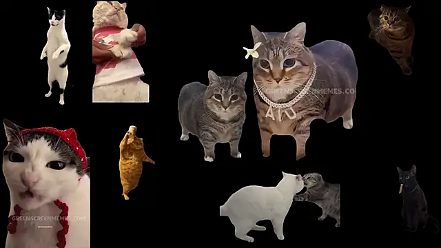 Snapshot of ch0wn_m chatting on 10/24/25, 10:44 ch0wn m online show from 10/24/25, 10:44