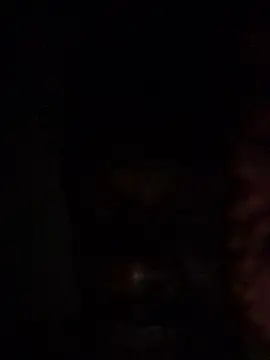 cuminsidebby online show from 06/30/26, 04:19