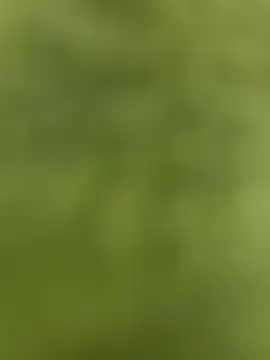 Snapshot of youyou933 chatting on 09/12/25, 05:57 youyou933 online show from 09/12/25, 05:57