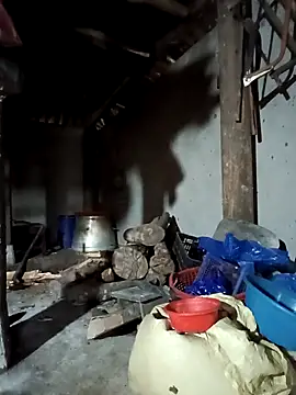 Snapshot of Exembin chatting on 09/17/25, 03:08 Exembin online show from 09/17/25, 03:08