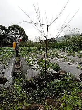 Snapshot of Exembin chatting on 10/24/25, 01:57 Exembin online show from 10/24/25, 01:57