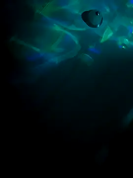 Snapshot of tyrek5051 chatting on 10/31/25, 07:20 tyrek5051 online show from 10/31/25, 07:20