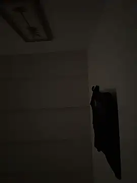 Snapshot of tyrek5051 chatting on 11/12/25, 05:02 tyrek5051 online show from 11/12/25, 05:02