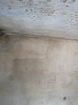 Sgaf39 online show from 09/26/25, 09:13