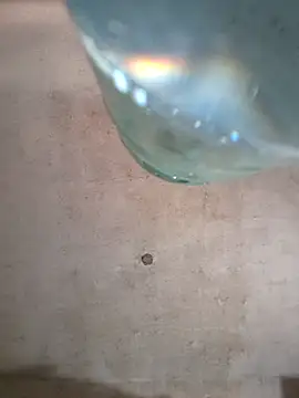 Sgaf39 online show from 10/06/25, 06:27