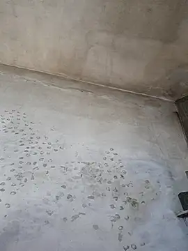 Sgaf39 online show from 10/20/25, 09:15