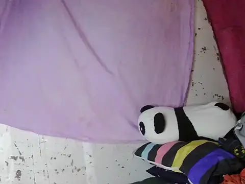 violen786 online show from 10/29/25, 07:54