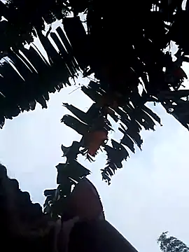 Snapshot of optra34 chatting on 10/22/25, 11:37 optra34 online show from 10/22/25, 11:37