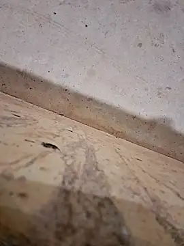 Negodabenga online show from 12/14/25, 12:27