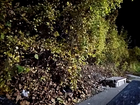 sloppytopkins online show from 11/06/25, 08:15