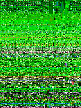 Snapshot of Lady_Dirty444 chatting on 09/12/25, 11:37 Lady Dirty444 online show from 09/12/25, 11:37