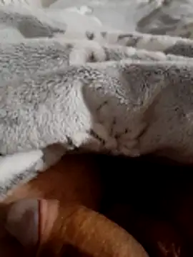 Snapshot of ratoncito_3 chatting on 11/16/25, 02:06 ratoncito 3 online show from 11/16/25, 02:06