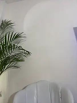 Ariana2017 online show from 06/11/26, 11:47