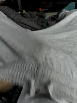 Snapshot of Frankieyyy1 chatting on 11/28/25, 07:44 Frankieyyy1 online show from 11/28/25, 07:44