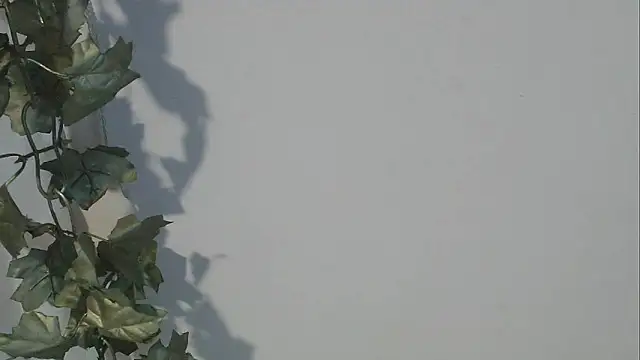 angelainparis28 online show from 10/05/25, 08:12