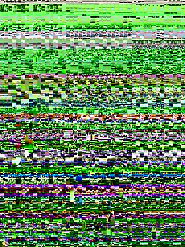 Snapshot of lynn9000 chatting on 11/20/25, 05:18 lynn9000 online show from 11/20/25, 05:18