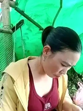 Snapshot of cicnci chatting on 11/05/25, 01:38 cicnci online show from 11/05/25, 01:38