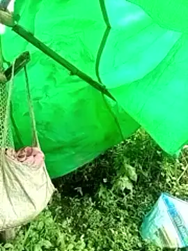 Snapshot of cicnci chatting on 11/09/25, 02:32 cicnci online show from 11/09/25, 02:32