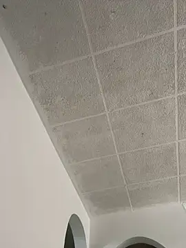 Snapshot of LICEET chatting on 09/25/25, 03:27 LICEET online show from 09/25/25, 03:27