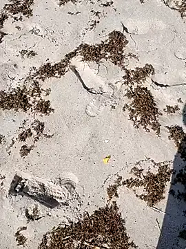 sarahkat86 online show from 10/04/25, 02:37