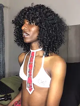 Snapshot of Trans_fairy chatting on 09/19/25, 06:41 Trans fairy online show from 09/19/25, 06:41