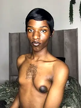 Snapshot of Trans_fairy chatting on 09/29/25, 07:19 Trans fairy online show from 09/29/25, 07:19