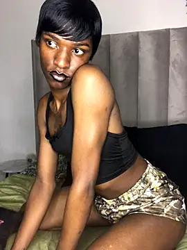 Snapshot of Trans_fairy chatting on 09/30/25, 05:29 Trans fairy online show from 09/30/25, 05:29