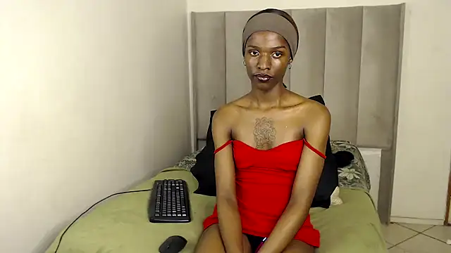 Snapshot of Trans_fairy chatting on 11/27/25, 05:26 Trans fairy online show from 11/27/25, 05:26