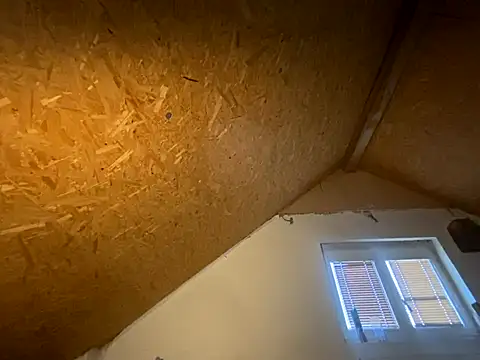 Salon1986 online show from 11/07/25, 03:01