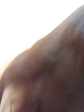 Payal-001 online show from 10/17/25, 07:27