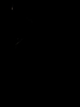 Snapshot of koukou322 chatting on 11/02/25, 10:06 koukou322 online show from 11/02/25, 10:06