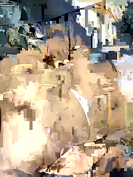 desitease online show from 09/15/25, 08:03