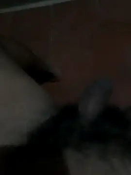 Snapshot of PhlegmySewerage chatting on 10/11/25, 01:16 PhlegmySewerage online show from 10/11/25, 01:16