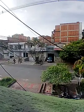 Alani Queen online show from 09/16/25, 01:12