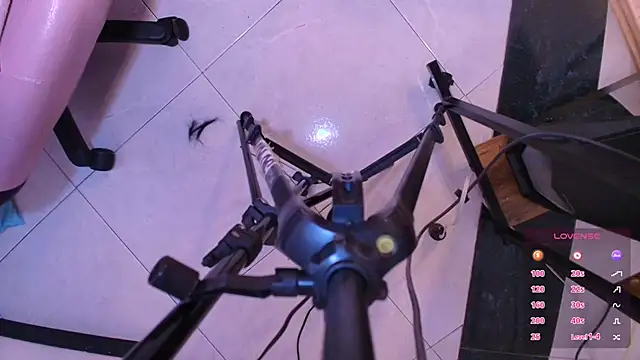 Terraelowen online show from 11/01/25, 11:45