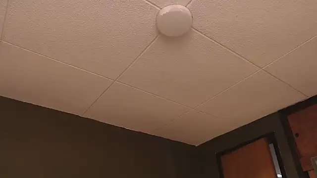 Snapshot of PaulEvens chatting on 10/17/25, 01:25 PaulEvens online show from 10/17/25, 01:25