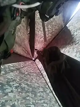 Alabestia12 online show from 11/05/25, 09:48