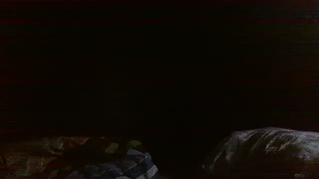 Snapshot of raredick chatting on 04/13/26, 03:39 raredick online show from 04/13/26, 03:39