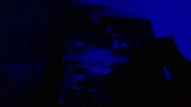 alexgiraldo   online show from 05/27/26, 06:49