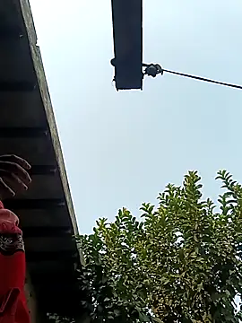 heena3355 online show from 12/02/25, 03:56