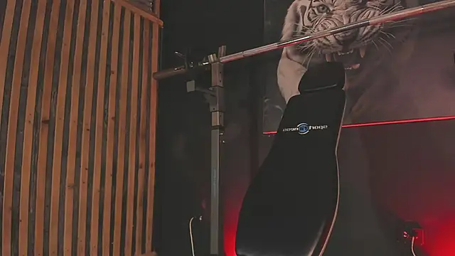 Snapshot of DimitriDeluxe chatting on 11/29/25, 08:12 DimitriDeluxe online show from 11/29/25, 08:12