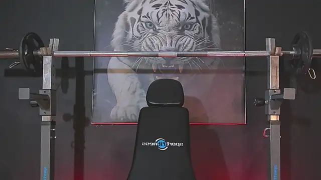 Snapshot of DimitriDeluxe chatting on 12/03/25, 07:45 DimitriDeluxe online show from 12/03/25, 07:45