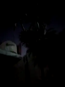 danielyanita online show from 10/14/25, 12:44